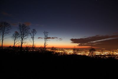 Silhouette trees against sky at night