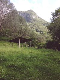 Scenic view of mountains