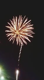 Low angle view of firework display at night