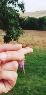 Cropped image of hand holding plant on field