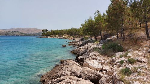 Scenic view of sea against clear sky