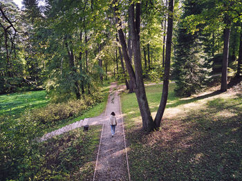 Road amidst trees in forest