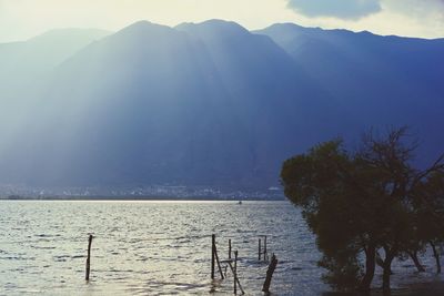 Scenic view of lake