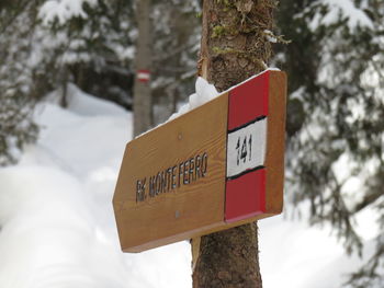 Information sign on tree trunk during winter