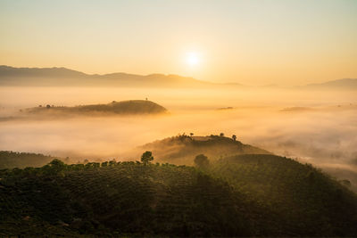 Scenic view of landscape against sky during sunset