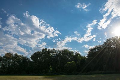 Trees on field against cloudy sky