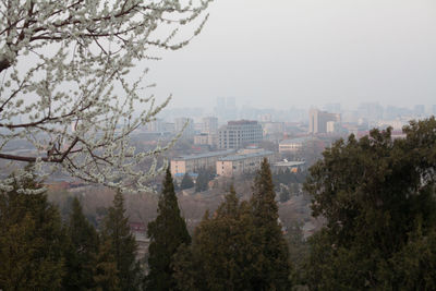 Buildings in city