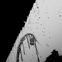 Low angle view of snake against sky at night