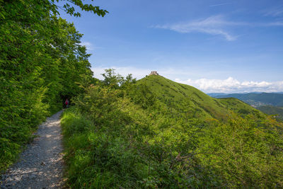 Scenic view of green landscape against sky