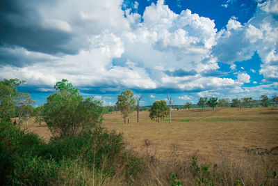 Scenic view of field against sky