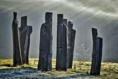 Wooden posts on field against sky