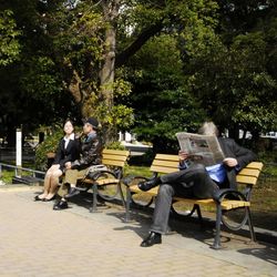 People sitting on tree stump