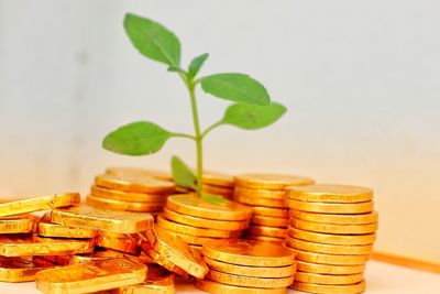 finance