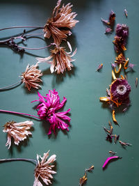 High angle view of pink flowers on table