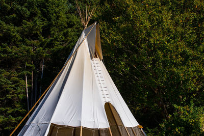 View of tent in forest