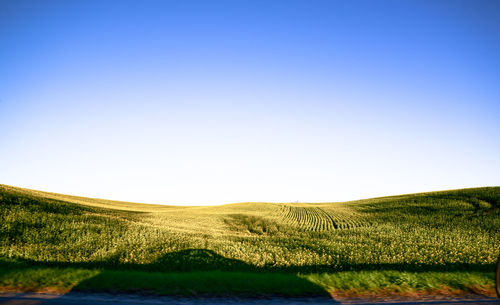 Scenic view of landscape against clear sky