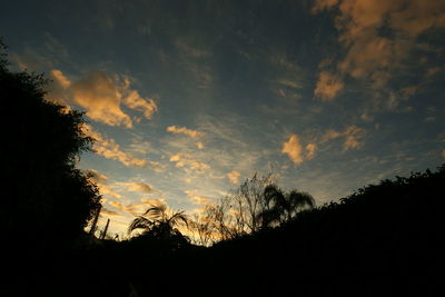 Silhouette of trees against cloudy sky