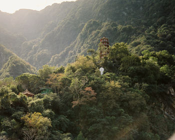 High angle view of trees and mountains