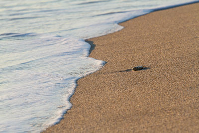 High angle view of waves on shore 