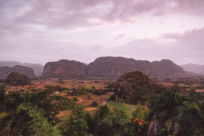 Scenic view of landscape against sky