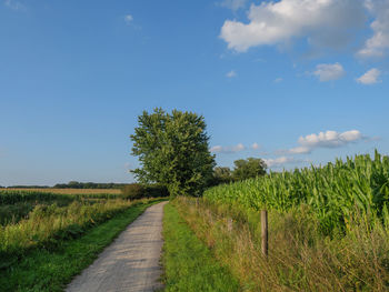 Dirt road amidst field against sky