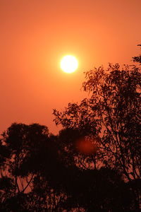 Silhouette trees against romantic sky at sunset
