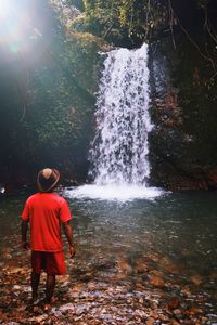 Rear view of man looking at waterfall in forest