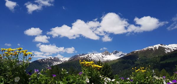 Scenic view of flowering plants and mountains against sky