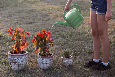 Low section of girl water plants while standing on grass against sky