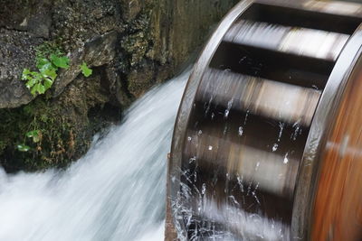 Water flowing through plants