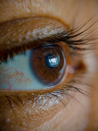 Extreme close-up of human eye