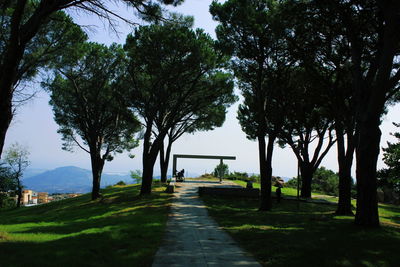 Trees in park against sky