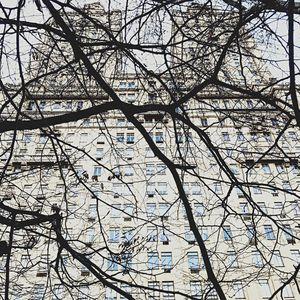 Low angle view of bare tree against sky