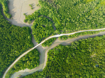 High angle view of agricultural field