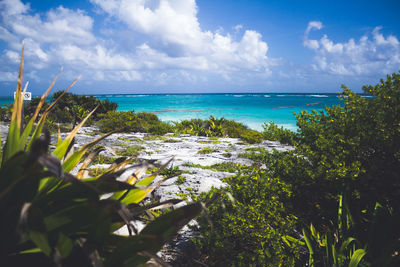 Scenic view of sea against sky