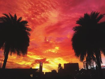 Low angle view of silhouette trees against sky during sunset