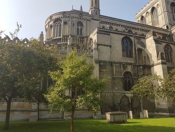 Low angle view of trees and building against sky