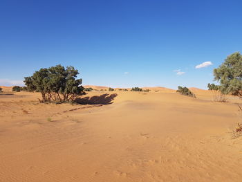 land