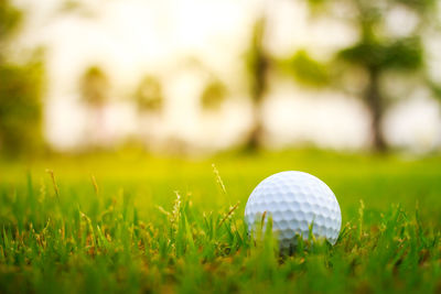 Close-up of golf ball on field