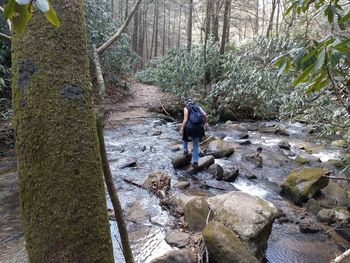 Man standing on tree trunk in forest