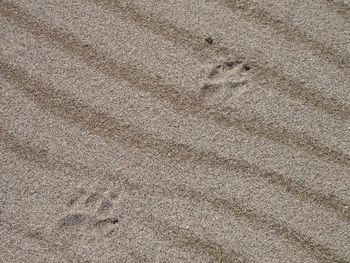 Full frame shot of sand