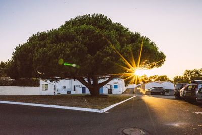 Road by trees against sky during sunset in city