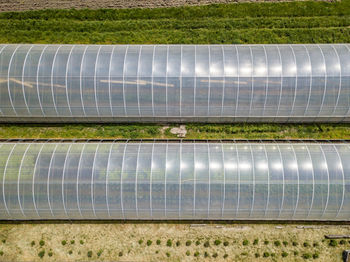 High angle view of agricultural field