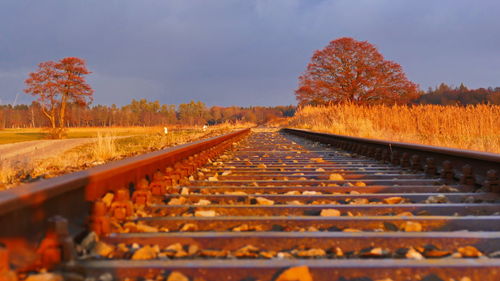 Surface level of railroad tracks against sky during autumn