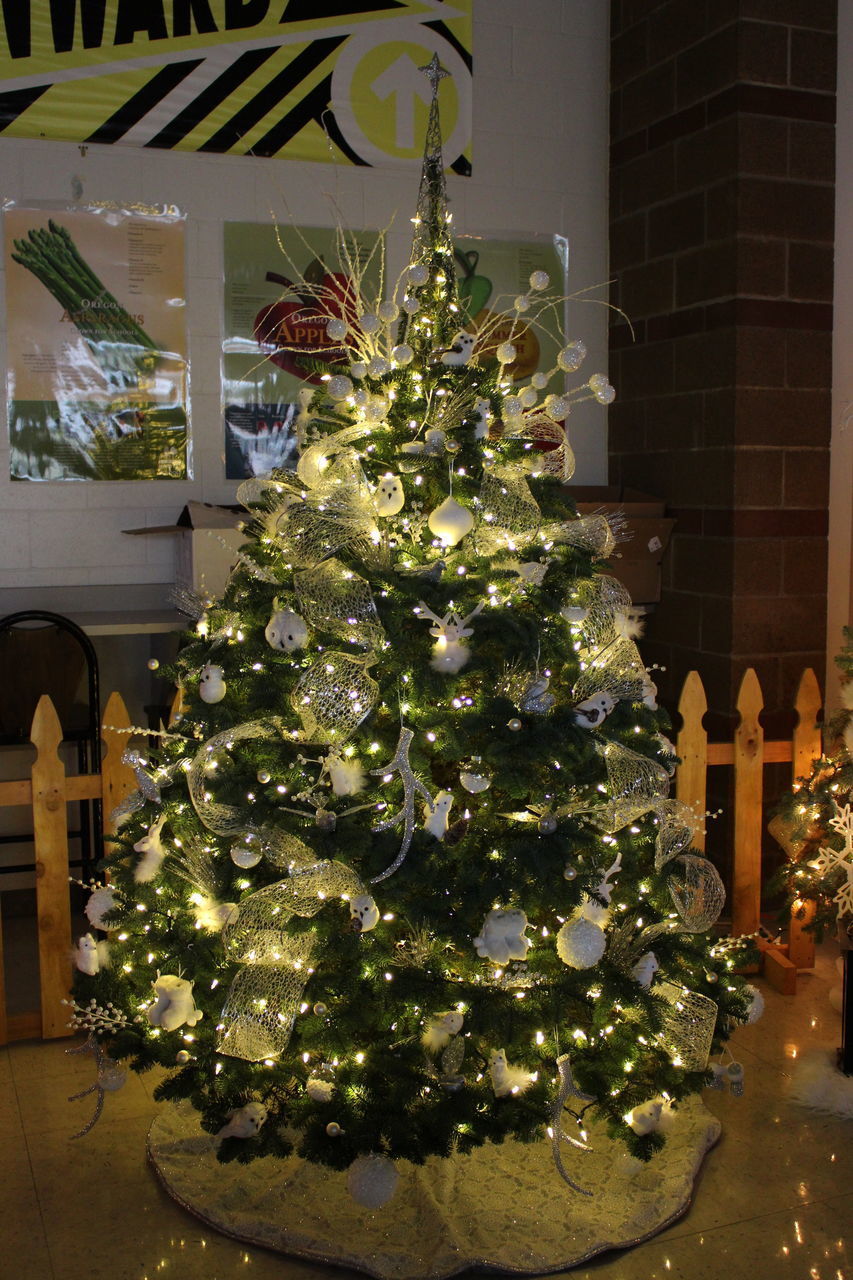 ILLUMINATED CHRISTMAS TREE