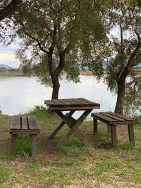 Bench in park by lake