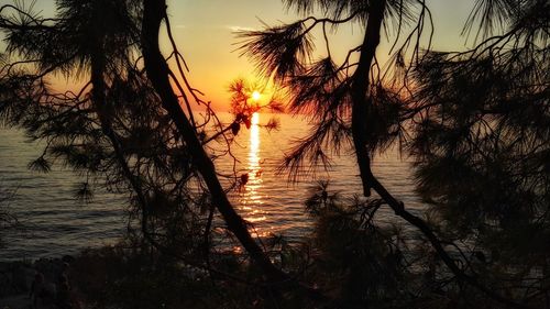 Silhouette trees by lake against sky during sunset