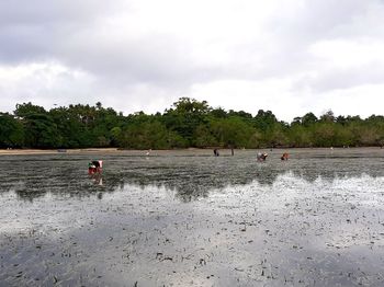 People on beach against sky