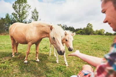 Cropped image of man feeding horses on field against sky