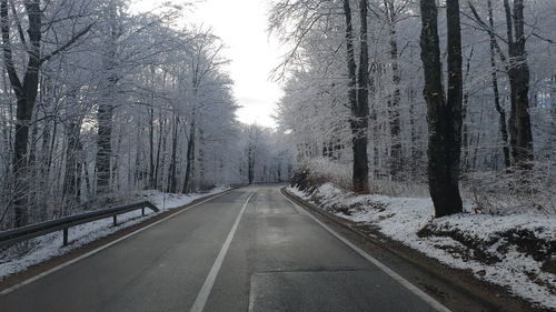 Empty road amidst trees during winter